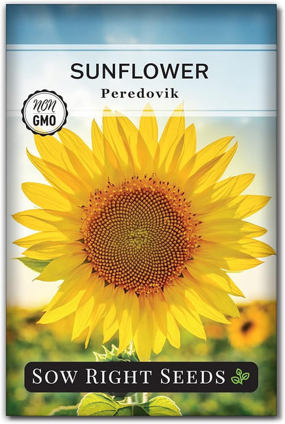 Sow Right Seeds - Peredovik Sunflower Seeds for Planting - Non-GMO Heirloom Packet with Instructions for Growing - Russian Black Sun Flower - Great for Wildlife and Sunflower Oil - Annual Blooms (1)