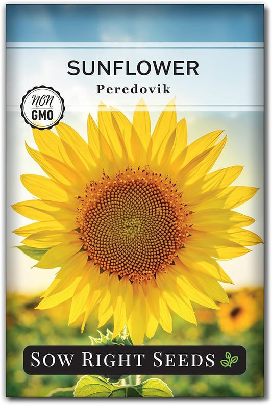 Sow Right Seeds - Peredovik Sunflower Seeds for Planting - Non-GMO Heirloom Packet with Instructions for Growing - Russian Black Sun Flower - Great for Wildlife and Sunflower Oil - Annual Blooms (1)