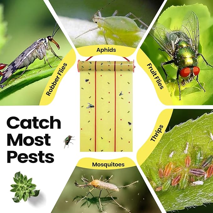 Qualirey Giant Sticky Fly Traps,30 Feet Fly Strips for Indoor Outdoor Hanging Flying Tapes Non Toxic Ribbon Fruit Gnat Killer for Mosquito Plants House Horse Stable (Fluorescent Green,15 Pcs)