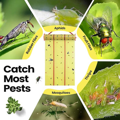 Qualirey Giant Sticky Fly Traps,30 Feet Fly Strips for Indoor Outdoor Hanging Flying Tapes Non Toxic Ribbon Fruit Gnat Killer for Mosquito Plants House Horse Stable (Fluorescent Green,15 Pcs)