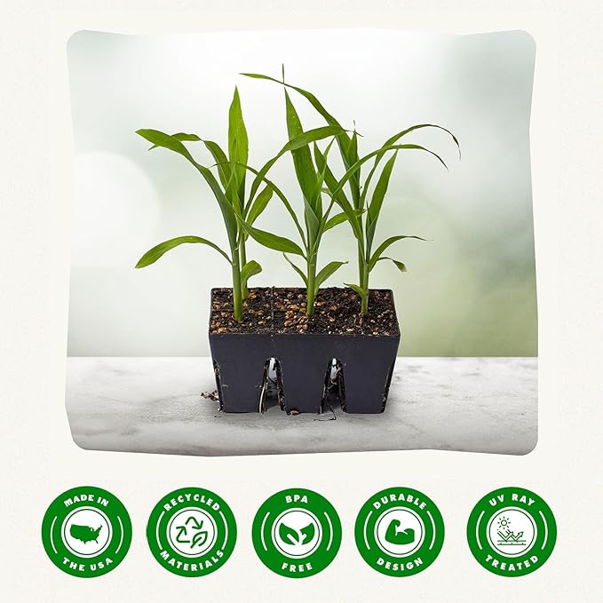 Epic Gardening Reusable Seed Starter Tray - 6 Cell/24 Seedling Starter Trays - Easy Watering, Indoor Greenhouse, Plant Starter, Gardener-Friendly for Seedlings | UV-Treated & BPA-Free - Black