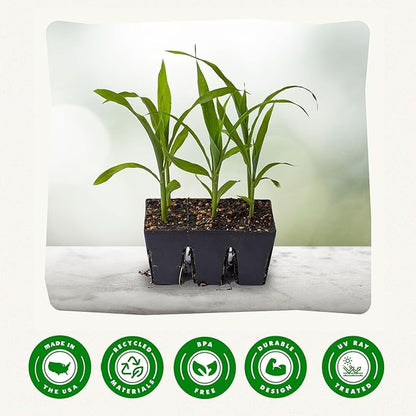 Epic Gardening Reusable Seed Starter Tray - 6 Cell/24 Seedling Starter Trays - Easy Watering, Indoor Greenhouse, Plant Starter, Gardener-Friendly for Seedlings | UV-Treated & BPA-Free - Black