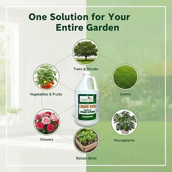 GS Plant Foods Liquid Kelp Fertilizer – Suitable for Organic Growing, OMRI Listed Seaweed Concentrate for Lawns, Gardens & Soil - 1 Gallon (Makes Up To 800+ Gallons)