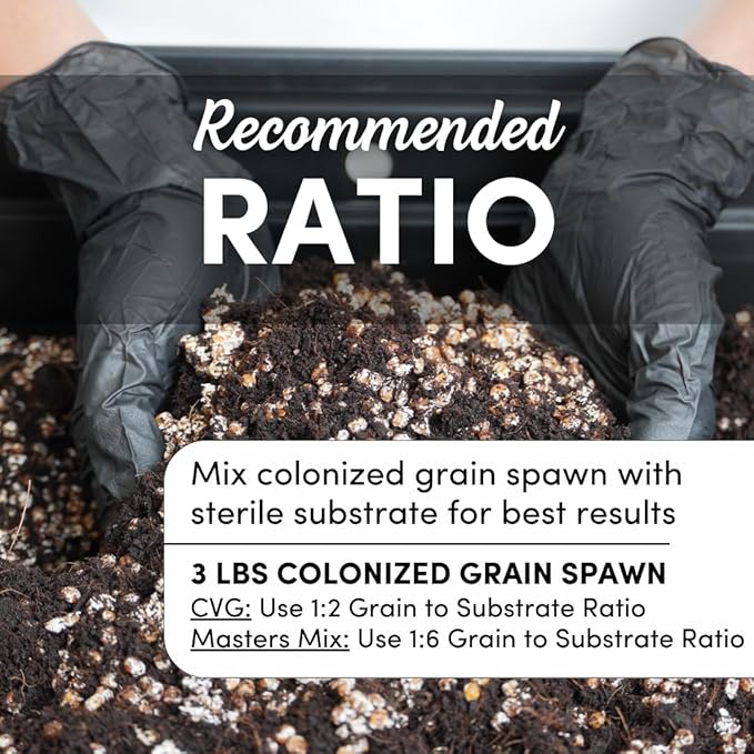 Mycelium 3 lb Whole Oats Grain Spawn for Mushroom Cultivation | Sterilized Nutrient-Rich Bag with Self-Healing Injection Port – Ideal for Rapid Mycelium Colonization | Ready to Inoculate | Made in USA