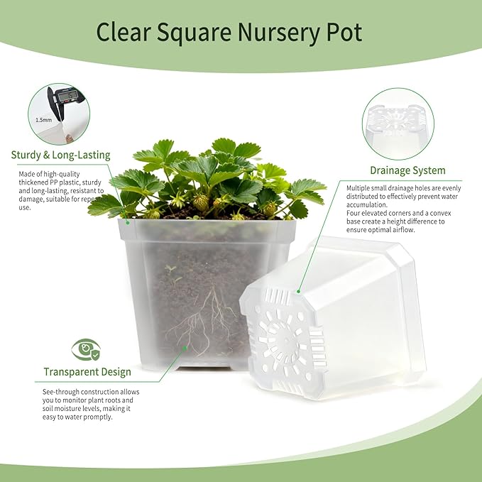 Clear Nursery Pots 30 Pcs 4 Inch Square Plastic Plant Pots with Drainage Hoels Transparent Flower Pot Seed Starter Pot Indoor Outdoor
