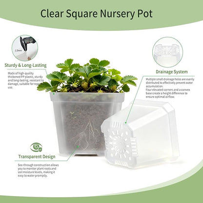 Clear Nursery Pots 30 Pcs 4 Inch Square Plastic Plant Pots with Drainage Hoels Transparent Flower Pot Seed Starter Pot Indoor Outdoor