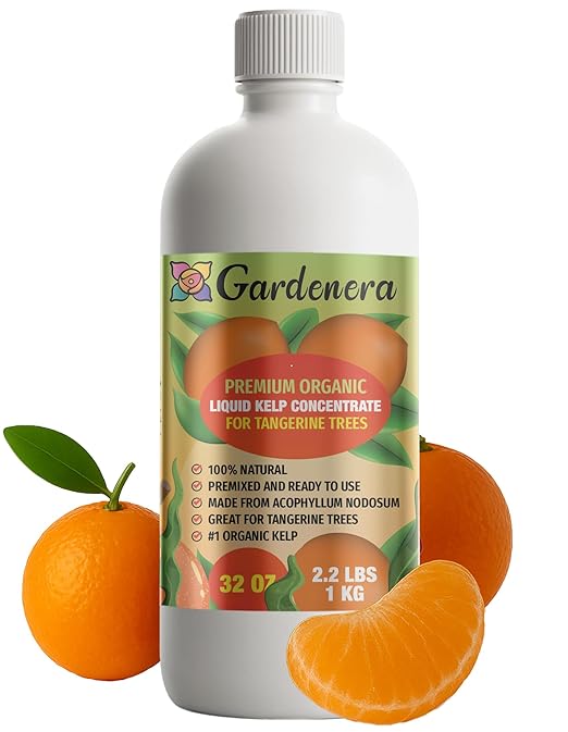 GARDENERA Premium Organic Seaweed & Kelp Superfood for Tangerine Plants - 32 oz - Liquid Kelp Fertilizer Concentrate (Makes 180 Gallons)