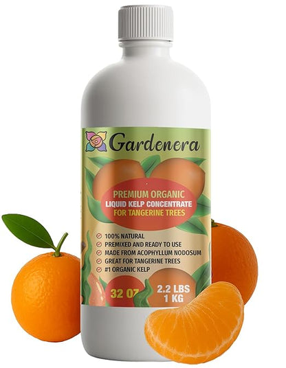 GARDENERA Premium Organic Seaweed & Kelp Superfood for Tangerine Plants - 32 oz - Liquid Kelp Fertilizer Concentrate (Makes 180 Gallons)