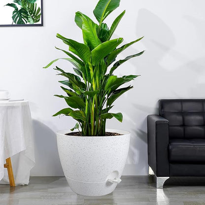 12 inch Large Self Watering Pots, Plastic Planters with 60oZ Removable Deep Reservoir and Multi Mesh Drainage Holes for Indoor Outdoor Garden Plants and Flowers, White Speckles