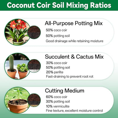 ZeeDix 6 Pcs Coco Coir Brick for Plants, 100% Organic Coconut Coir Bricks with Low EC and pH Balance, Compressed Coconut Husk Bricks for Gardening, Planting, Organic Potting Soil, High Water Retention