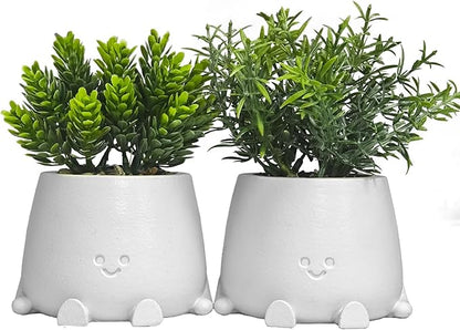 White Planters with Artificial Plants Set - 2Pack Smiley Face Plants Pot with Fake Plant, Faux Succulent Plant Pots for Bathroom/Kitchen/Sill/Office Home Decor, Gifts for Mom/Women