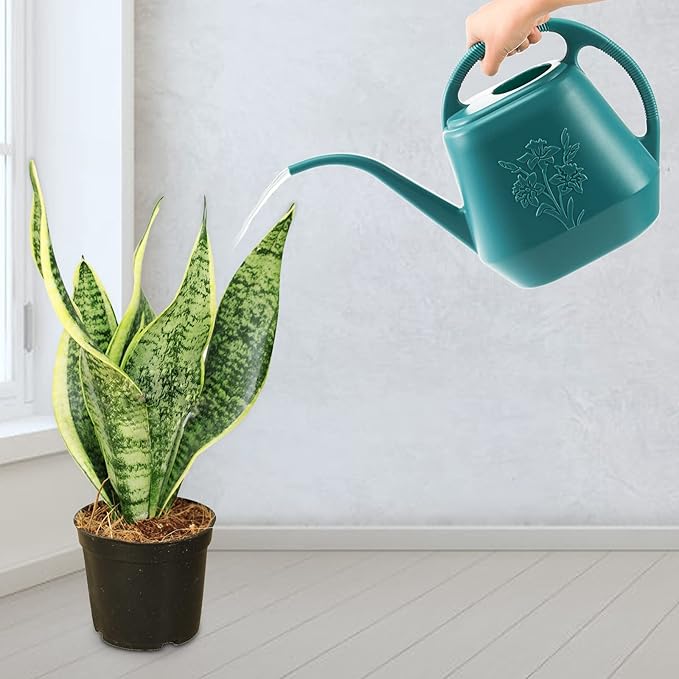 Fasmov 1-Gallon Plastic Watering Can with Comfortable Handle, Garden Watering Cans Long Spout for Indoor Outdoor Watering Plants (Green)