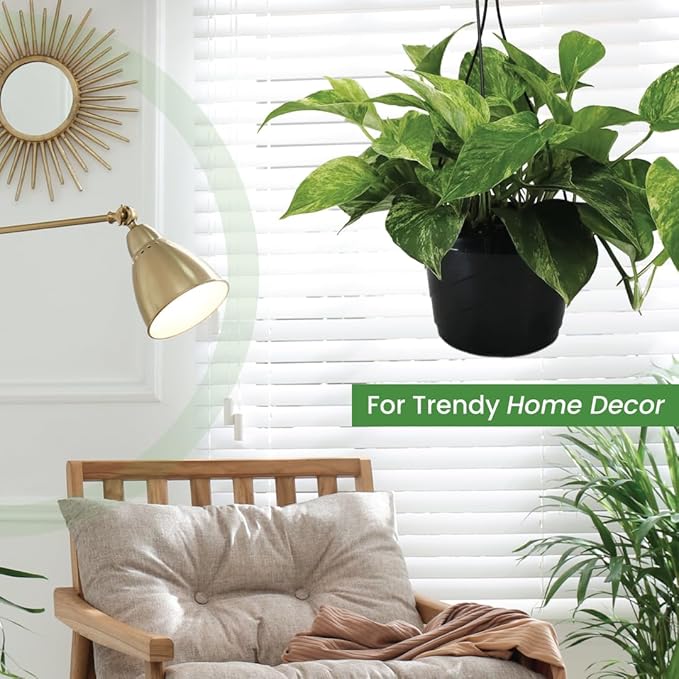 American Plant Exchange Marble Queen Pothos – Live 8-Inch Hanging Basket, Easy-Care Air Purifying Trailing Vine, Fast-Growing Houseplant for Hanging Planters, Shelves & Indoor Home or Office Décor