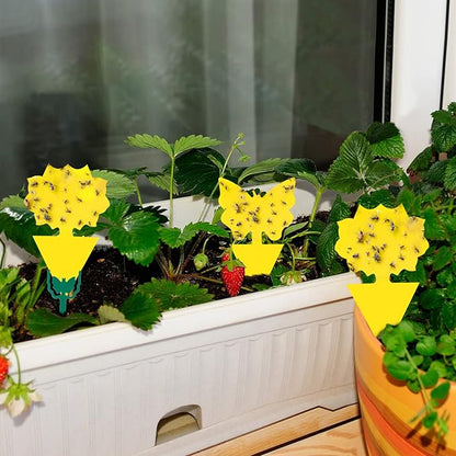 120 Pack Fruit Fly Trap for Indoors, Fungus Gnat Killer Indoor Sticky Traps for Mosquito and Flying Insects, Bug Pest Insect Catcher Killer for Houseplant