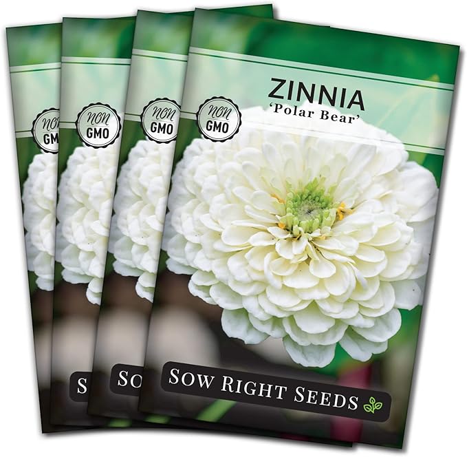 Sow Right Seeds - Zinnia Polar Bear Flower Seeds for Planting - Beautiful Flowers to Plant in Your Home Garden - Non-GMO Heirloom Packet - White Blooms Attract Pollinators - Cut and Come Again (4)
