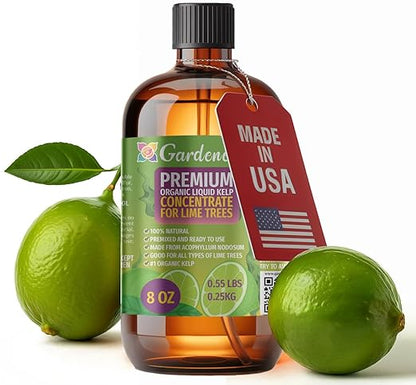 GARDENERA Premium Organic Seaweed & Kelp Superfood for Lime Plants - 8 oz - Liquid Kelp Fertilizer Concentrate (Makes 45 Gallons)