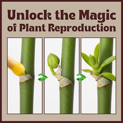 Keiki Paste for Plants to Clone & Create New Growth - 2X The Paste - Rapid Start Cloning Gel for House Plants - Keiki Cloning Paste for Plants- Nutrient Rich Plant Growth Gel - 0.5oz