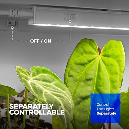 Barrina T5 Grow Lights for Indoor Plants, 3FT 128W (8 X 16W) Full Spectrum Grow Light with Separate Switch, Linkable Grow Lamp, Indoor Plant Lights for Growth, Plug and Play, 5000K, 8 Packs