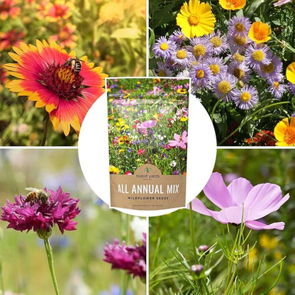 Bulk Wildflower Seeds Annual Quick Blooming Mix - 1/4 Pound Bag - Over 30,000 Open Pollinated Seeds