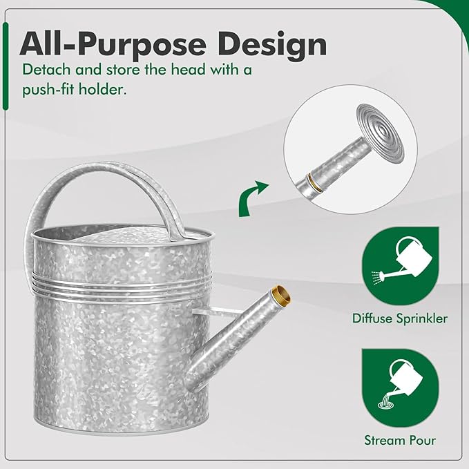 Galvanized Iron Watering Can for Indoor Plants, Oval Watering Cans for House Plant Garden Flower, Long Spout Water Can for Outdoor Watering Plants 9.46L 2.5 Gallon