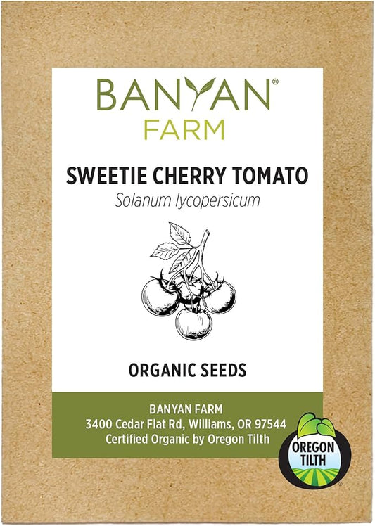 Banyan Botanicals Organic Sweetie Cherry Tomato Seeds – for Planting a Home Garden – Easy-to-Grow Sweet and Delicious Tomatoes – 25 Count – Open Pollinated Non-GMO Heirloom