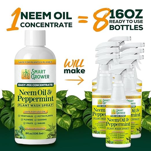 Neem Oil Spray for Plants with Peppermint Oil – for Indoor & Outdoor Plants, Gardens, & Houseplants– Best Value Refill 8 oz Concentrate Makes 1 Gallon RTU