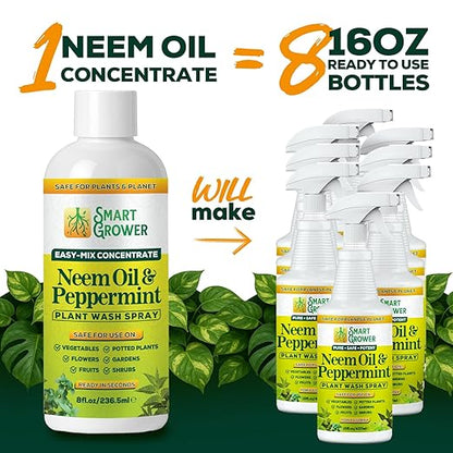 Neem Oil Spray for Plants with Peppermint Oil – for Indoor & Outdoor Plants, Gardens, & Houseplants– Best Value Refill 8 oz Concentrate Makes 1 Gallon RTU