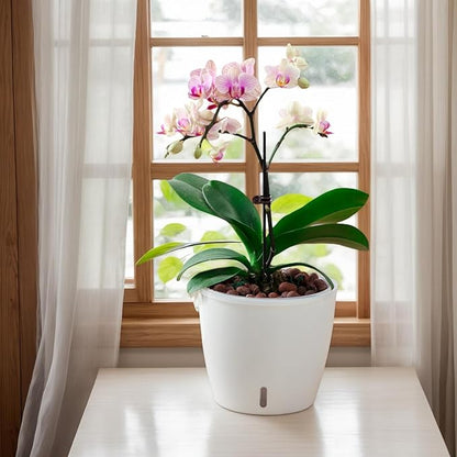 Self-Watering Pots for Indoor Plants, 8-Pack Self Watering Planter with Drainage Holes, Small African Violet Pots with Water Indicator, 5 Packs 5''/3 Pack 6.7'' Orchid Pot, White