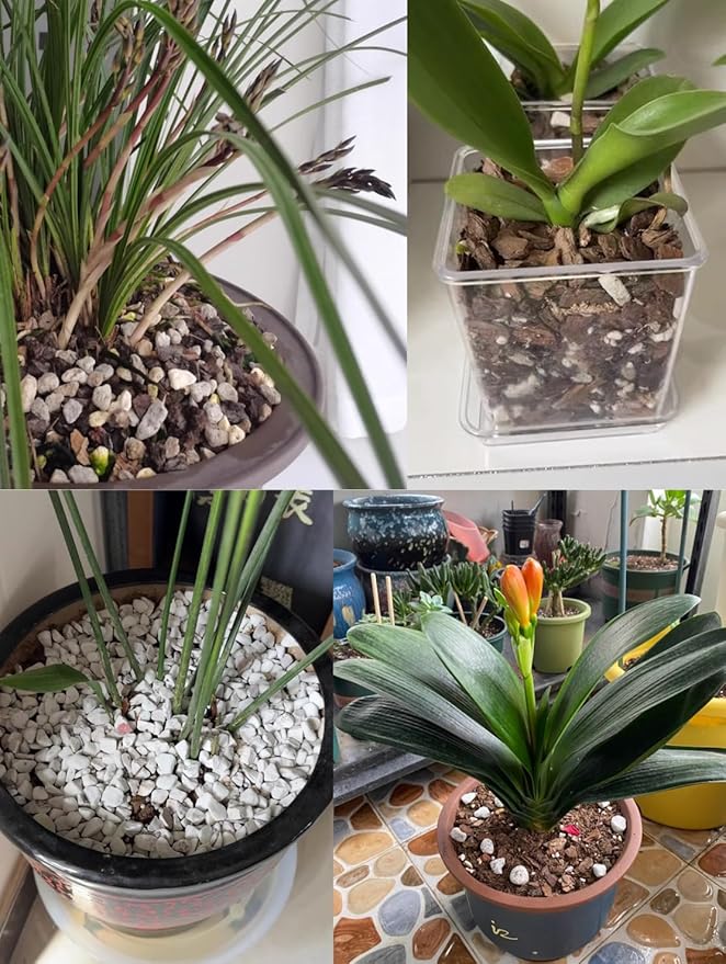 Voulosimi 15QT Organic Perlite Horticultural Soil Amendment for Plants and Enhanced Drainage Enhanced Growth(5-8mm), ZZ-154512156