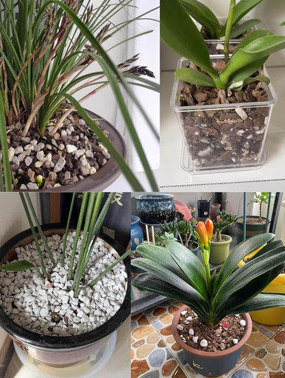 Voulosimi 15QT Organic Perlite Horticultural Soil Amendment for Plants and Enhanced Drainage Enhanced Growth(5-8mm), ZZ-154512156