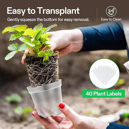 VIVOSUN 40 Packs 3/4/5/6 Inch Clear Nursery Pots with Drainage Holes, Reinforced Plastic Seedling Pots for Plants, Flowers, Cuttings, and Succulents, 40 pcs Plant Labels