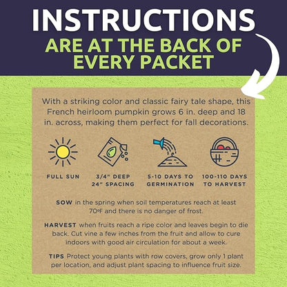 Organic Pumpkin Seeds Variety Pack - 6 Individual Packs - 2026 Season - Jack O' Lantern, Cinderella, Big Max and More! for Indoor & Outdoor Planting (Non-GMO, Certified Organic)