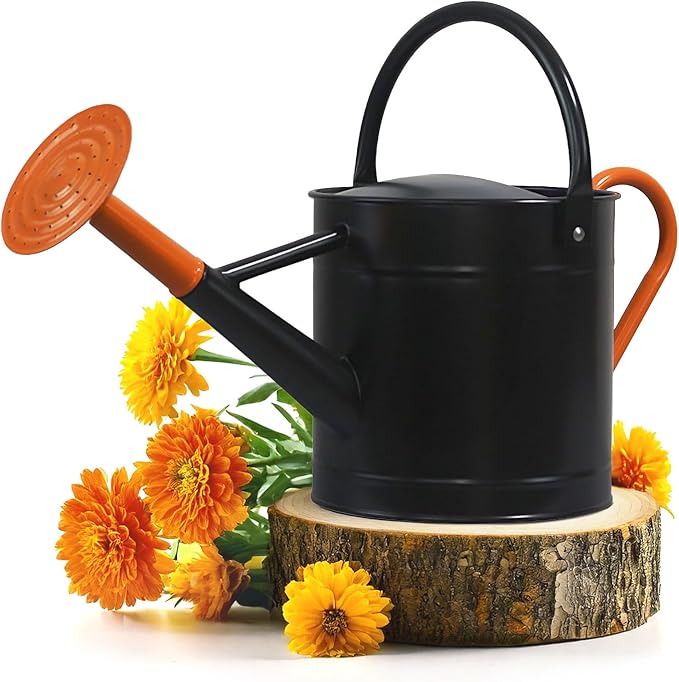 Plexon 1 Gallon Metal Watering Can Outdoor, Flower Plant Gardening Garden Large Watering Can Pot Pitcher, Steel Orange Handles and Removable Spray Spout, Black