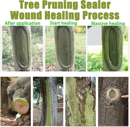 XIRUJNFD Tree Wound Sealer, Bonsai Cut Paste, Tree Wound Sealer Healing Paste, Pruning Sealer and Tree Wound Dressing for Plant, Trees, Shrubs, Roses, Tree Grafting Supplies (3 * 100g +3*Brush)