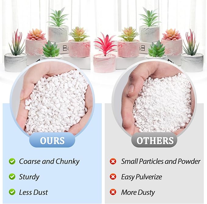 Riare 6 Quarts Organic Perlite for Plants - Horticultural Soil Amendment for Potting Mix, Natural Chunky Soil Additive Conditioner to Improve Root Growth, Drainage and Ventilation