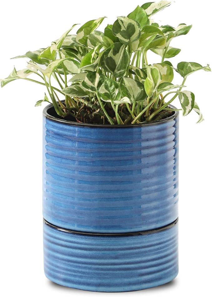 HASENSE Self Watering Pots for Indoor Plant, 6 Inch Porcelain Planter with Drainage Hole & Water Storage Plus for Indoor & Outdoor Plants, Round Flower Pot for Christmas Thanksgiving Gift, Blue