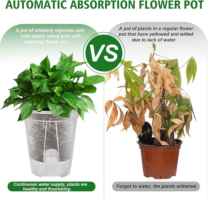 Cdd's Path Large Self Watering Pots Set with Holes for Indoor/Outdoor Plants,Planter Pot with Watering Hole/Reservior and Air Pipes (Clear, 8 inch-5 Pack)