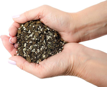 Premium African Violets and Gesneriad Premium Soil Mix by Gardenera - Horticultural Perlite (25%) + Vermiculite (25%) + Sphagnum Peat Moss (50%) - Made in USA - (1 Quart Bag)