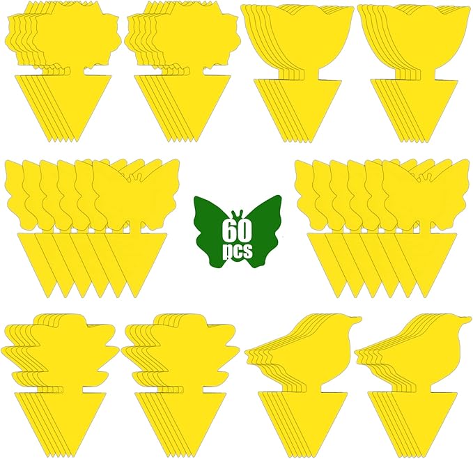 60 Pack Fruit Fly Trap for Indoors, Gnat Traps for House Indoor, Fungus Gnat Killer Sticky Traps for Plants, Bug Pest Insect Catcher Killer