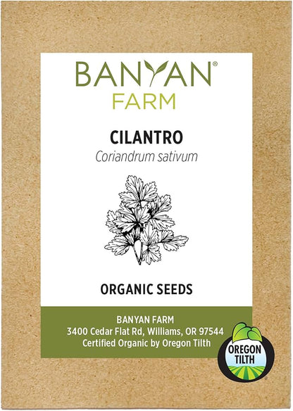 Banyan Botanicals Organic Cilantro Seeds – for Planting Cilantro from Seed – Coriandrum Sativum – 100 Count – Easy to Grow Open Pollinated Non-GMO Cilantro Seeds