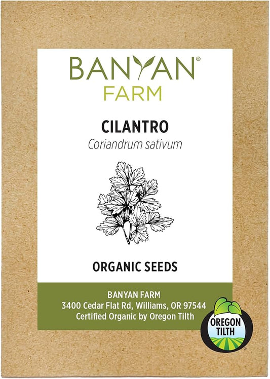 Banyan Botanicals Organic Cilantro Seeds – for Planting Cilantro from Seed – Coriandrum Sativum – 100 Count – Easy to Grow Open Pollinated Non-GMO Cilantro Seeds