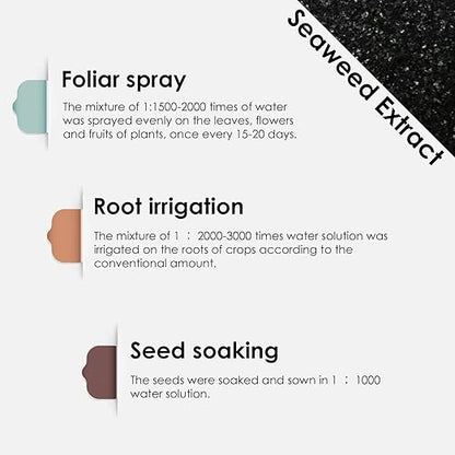 Seaweed Extract, 100% Water-Soluble granular Organic high-Efficiency Fertilizer, Used for Plants, Gardens, and Agriculture(400g/14.1oz)