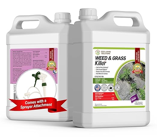 ECO Garden PRO - Organic Vinegar Weed Killer | Kid Safe Pet Safe | Clover Killer for Lawns | Moss Killer | Green Grass & Poison Ivy Killer | Spray Ready Glyphosate Free Herbicide (1 Gal with Sprayer)