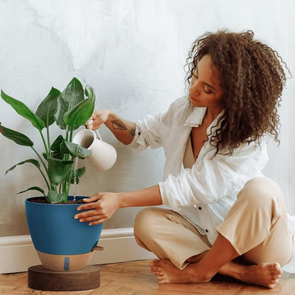 8/10/12 Inch Large Self Watering Pots for Indoor Plants Plastic Plant Pot for Outdoor Plants, Water Level Window & Spacious Reservoir Flower Pots Decorative Planter with Drainage and Tray (Blue)