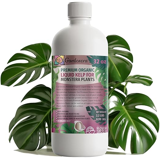 GARDENERA Premium Organic Seaweed & Kelp Superfood for Monstera Plants - 32 oz - Liquid Kelp Fertilizer Concentrate (Makes 180 Gallons)