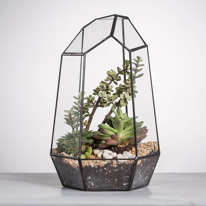 NCYP Geometric Glass Terrarium Planter for Succulent, Small Cacti, Black Irregular Opened Container Pot, Indoor Home Garden Office Tabletop Decor, 6.5" x 5.7" x 9.8" (No Plants, No Door)