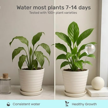 LGL Plant Watering Globes - Automatic Self Watering Globes. Decorative Self Watering Planter. Self Watering Spikes to Support Plant Health. 2 Pack x 200ml.