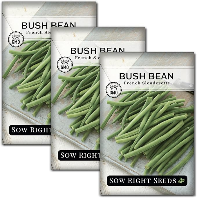 Sow Right Seeds - French Slenderette Green Bean Seeds for Planting - Non-GMO Heirloom Packet with Instructions to Plant & Grow an Outdoor Home Vegetable Garden - Fresh Slender Beans, French-Style (3)