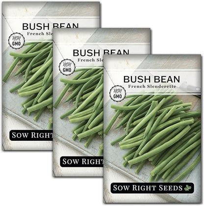 Sow Right Seeds - French Slenderette Green Bean Seeds for Planting - Non-GMO Heirloom Packet with Instructions to Plant & Grow an Outdoor Home Vegetable Garden - Fresh Slender Beans, French-Style (3)