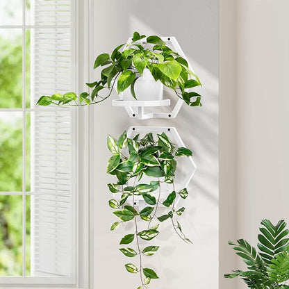 3 Packs Wall Planters for Indoor Plants, 7.9inch Metal Wall Plant Holder Hanger Wall Decor, Wall-Mounted Hanging Planters Window Plant Shelves Outdoor(White)